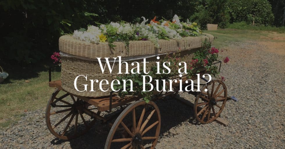 green burial business plan