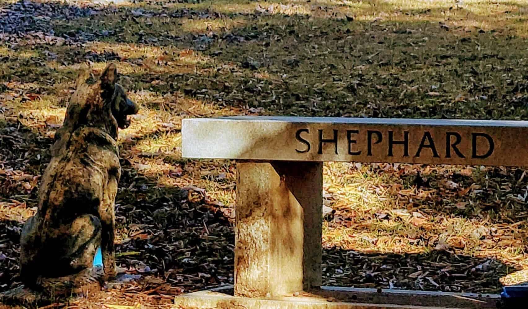 Shephard grave