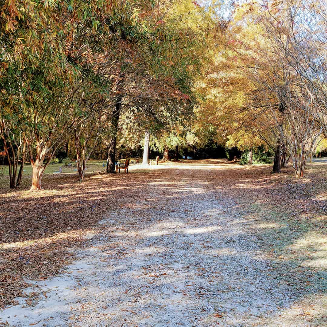 green burial on left side of path