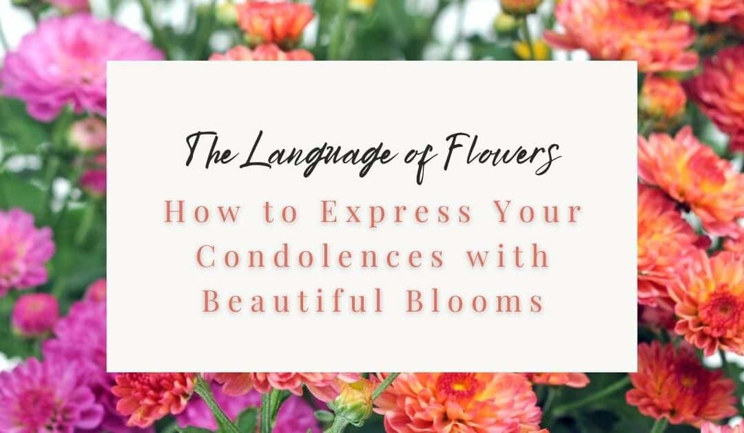 The Language of Flowers: How to Express Your Condolences with Beautiful Blooms