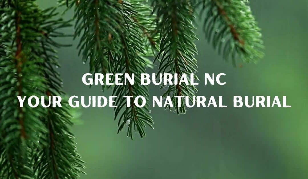 Green Burial NC: Your Guide to Natural Burial