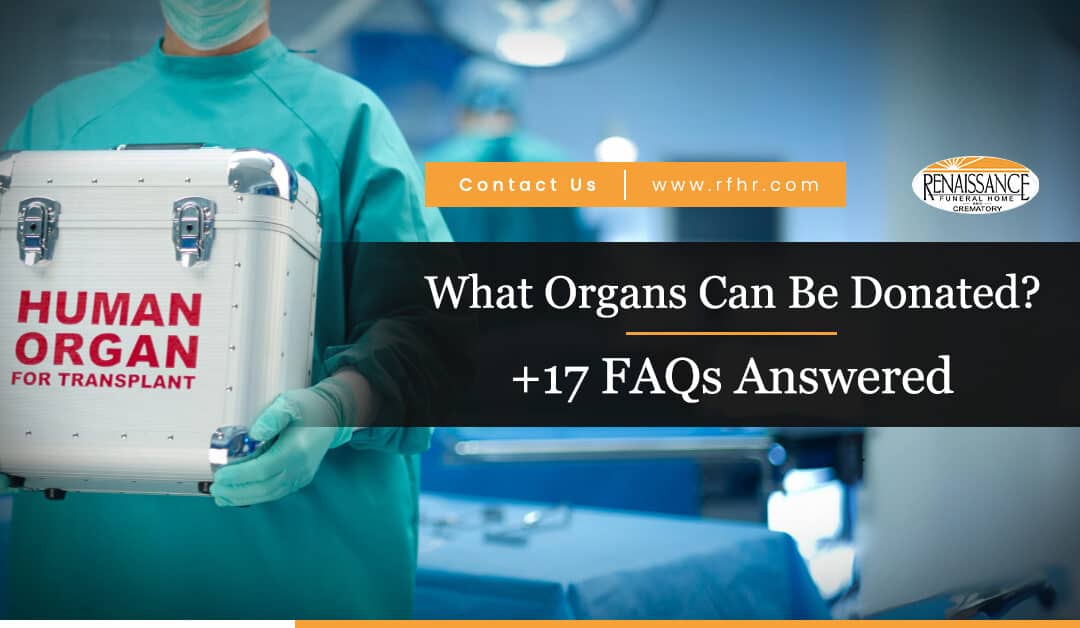 What Organs Can Be Donated?+17 FAQs Answered