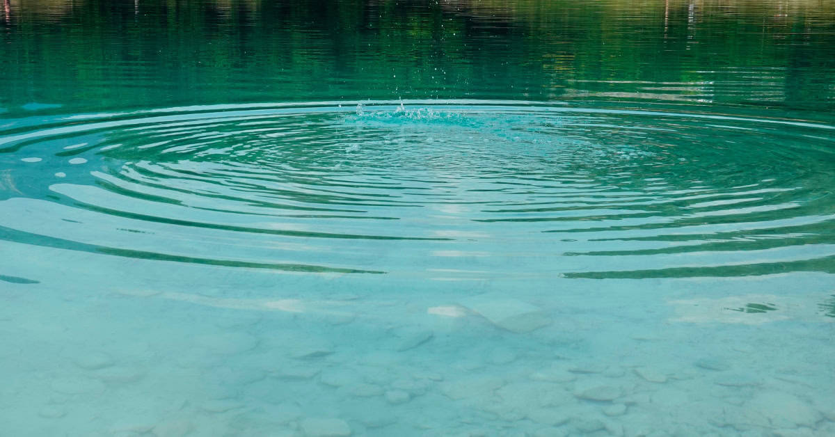 water cremation process