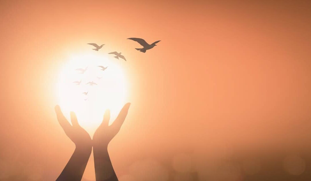Celebration of Life Quotes That Stir the Soul