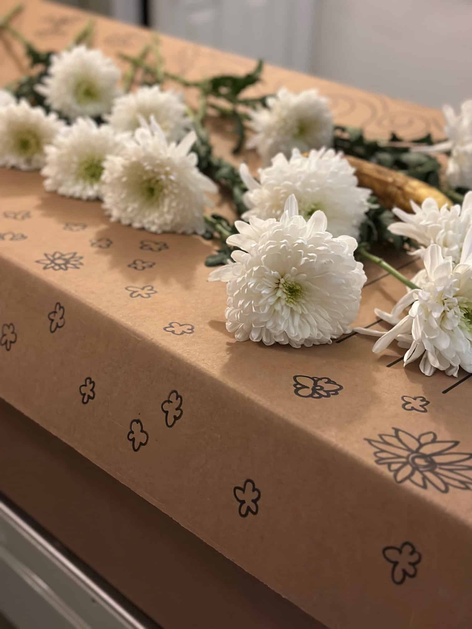 cremation direct cremation raleigh